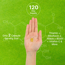 Load image into Gallery viewer, Bioactive Vitamin B Complex, 240 Veggie Capsules