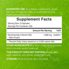 Load image into Gallery viewer, Niacinamide Vitamin B3 1,000mg Per Serving, 500 Capsules