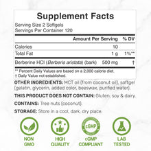 Load image into Gallery viewer, Berberine 500mg Per Serving with MCT Oil, 240 Softgels