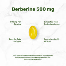 Load image into Gallery viewer, Berberine 500mg Per Serving with MCT Oil, 240 Softgels