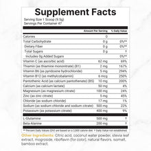 Load image into Gallery viewer, Electrolytes Powder Pineapple Coconut Flavor 1lb