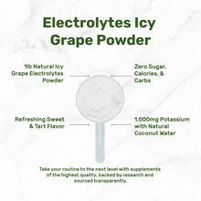 Load image into Gallery viewer, Electrolytes Powder Icy Grape Flavor 1lb