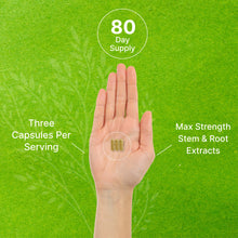 Load image into Gallery viewer, Fadogia Agrestis 1,000mg & Tongkat Ali (Longjack) 400mg, 240 Capsules