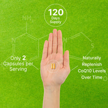 Load image into Gallery viewer, CoQ10 200mg & PQQ 200mcg, 240 Veggie Capsules