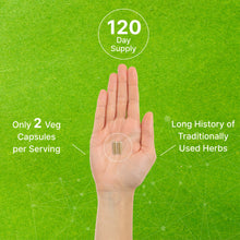 Load image into Gallery viewer, Vitex Supplement for Women – Vitex Chasteberry Supplement 1000mg Per Serving Plus Dong Quai Root, 240 Veggie Capsules