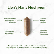 Load image into Gallery viewer, Lions Mane Mushroom Supplement 240 Capsules
