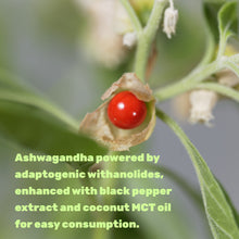 Load image into Gallery viewer, Ashwagandha with MCT Oil, 240 Softgels
