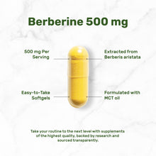 Load image into Gallery viewer, Berberine 500mg Per Serving with MCT Oil, 240 Softgels
