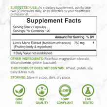 Load image into Gallery viewer, Lions Mane Mushroom Supplement 240 Capsules
