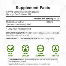 Load image into Gallery viewer, Mullein Leaf Extract, 240 Veggie Capsules
