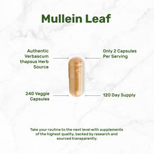 Load image into Gallery viewer, Mullein Leaf Extract, 240 Veggie Capsules
