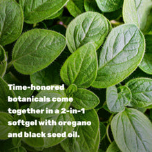Load image into Gallery viewer, Oil of Oregano Softgels with Black Seed Oil
