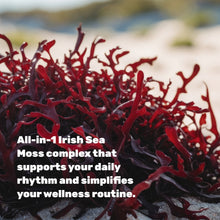 Load image into Gallery viewer, Irish Sea Moss Complex, 240 Veggie Capsules

