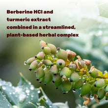 Load image into Gallery viewer, Berberine Max Supplement with Turmeric, 5,000mg Per Serving, 240 Veggie Capsules
