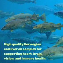 Load image into Gallery viewer, Cod Liver Oil 2,000mg Per Serving, 240 Softgels – Extra Strength EPA DHA Omega 3 Supplement
