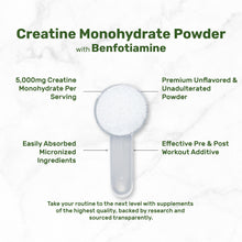 Load image into Gallery viewer, Instant Creatine Monohydrate Powder, 5g Per Serving – 240 Servings
