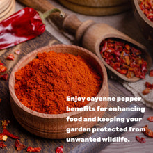 Load image into Gallery viewer, Ground Cayenne Pepper Powder, 5 Pounds
