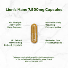 Load image into Gallery viewer, Lions Mane Mushroom Supplement 240 Capsules
