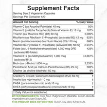 Load image into Gallery viewer, Methylated B Complex for Women 15-in-1, 240 Vegetarian Capsules
