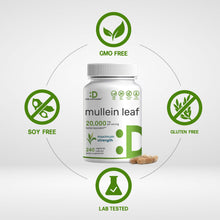 Load image into Gallery viewer, Mullein Leaf 20,000mg Herbal Equivalent, 240 Veggie Capsules
