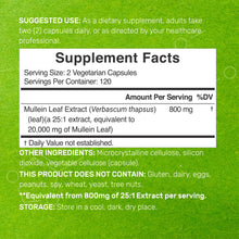 Load image into Gallery viewer, Mullein Leaf 20,000mg Herbal Equivalent, 240 Veggie Capsules
