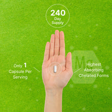Load image into Gallery viewer, Magnesium Complex 500mg, 480 Veggie Capsules, 10-in-1 Glycinate, Citrate, Malate, &amp; More
