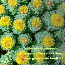 Load image into Gallery viewer, Rhodiola Rosea with Ashwagandha 5,000mg Per Serving, 240 Veggie Capsules
