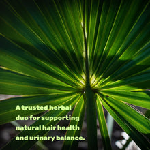 Load image into Gallery viewer, Saw Palmetto Supplement 5000mg with Pumpkin Seed, 300 Capsules
