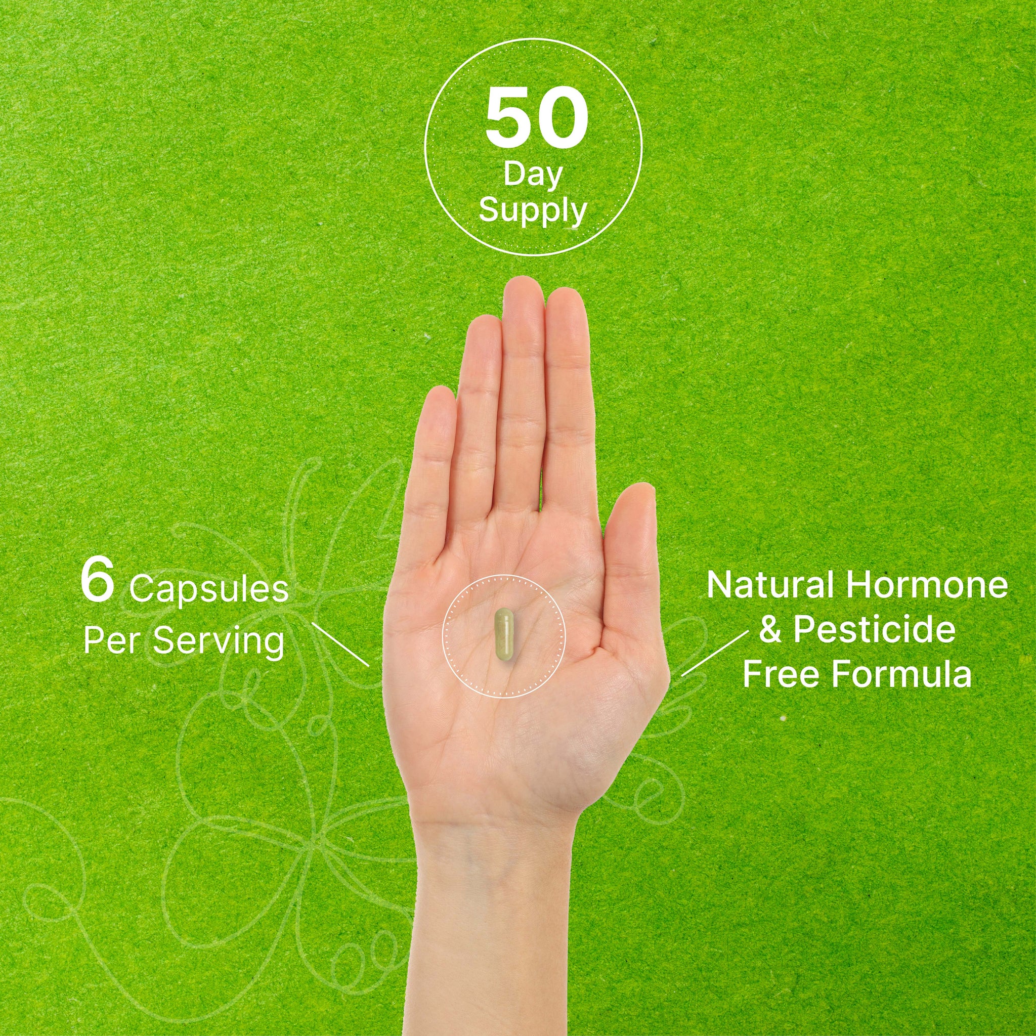 Unlock The Power Of Beef Bile: Unexpected Applications - qvififl